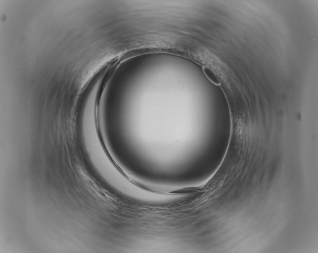 X0000088620676200706081522
