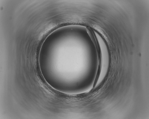 X0000088620677200706081522