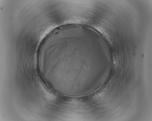 X0000088620678200706081522