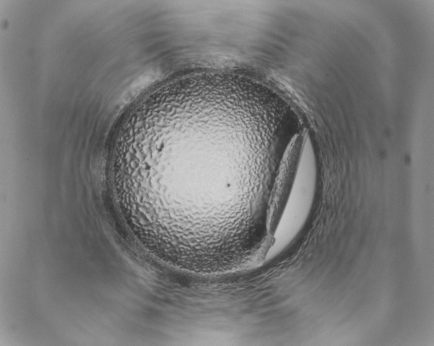 X0000088620679200706081522