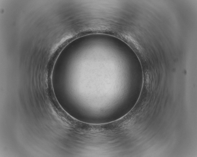 X0000088620684200706081522