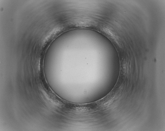 X0000088620686200706081522