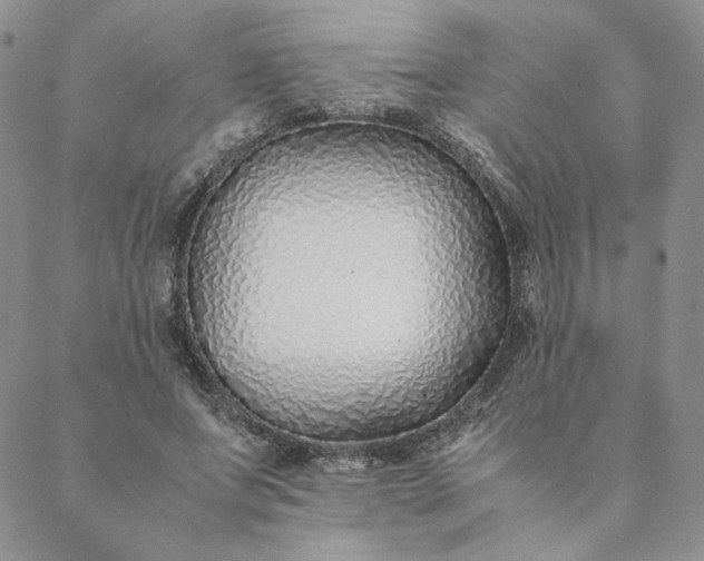 X0000088620687200706081522