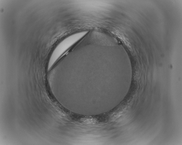 X0000088620689200706081522