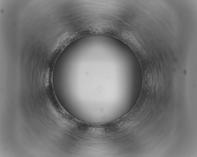 X0000088620694200706081522
