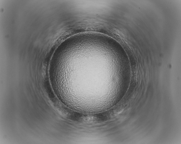X0000088620695200706081522