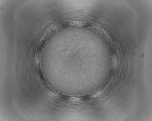 X0000088620701200706081522