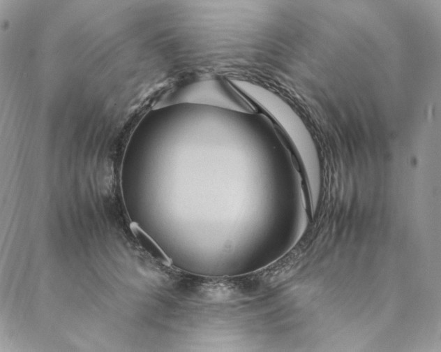 X0000088620704200706081522