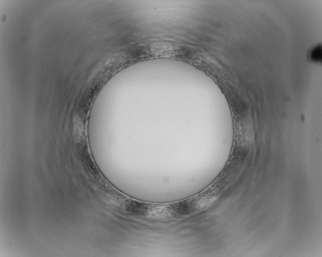 X0000088620705200706081522