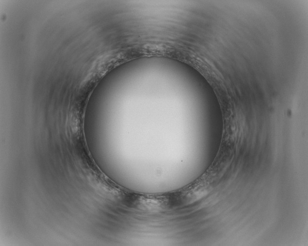 X0000088620706200706081522