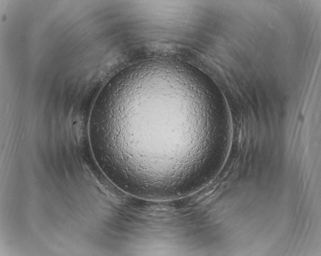 X0000088620708200706081522