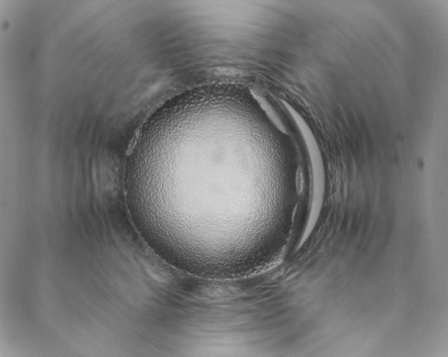 X0000088620712200706081522