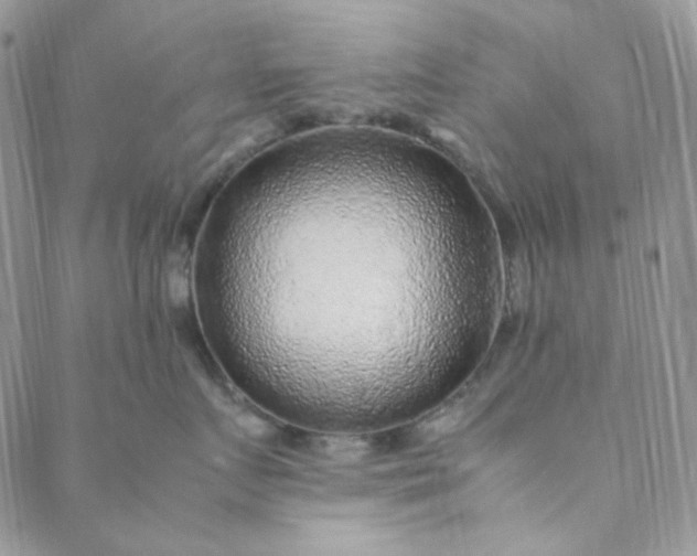 X0000088620719200706081522