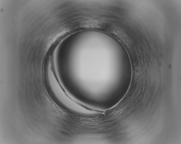 X0000088620727200706081521