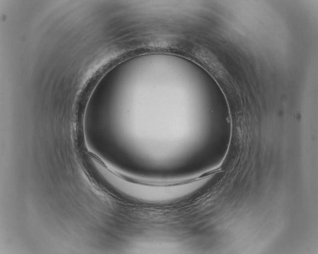 X0000088620728200706081521