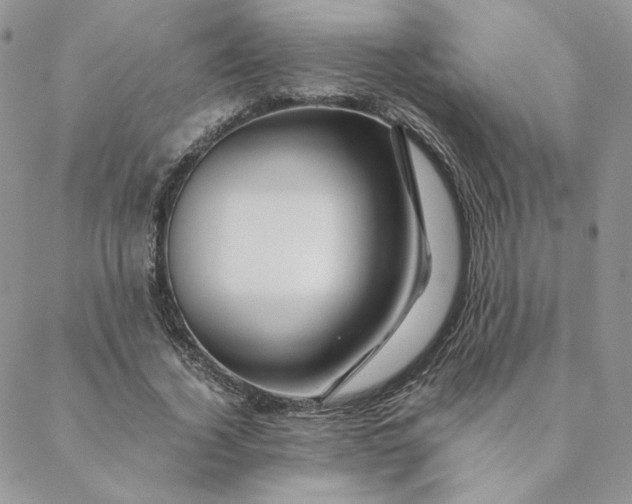 X0000088620732200706081521