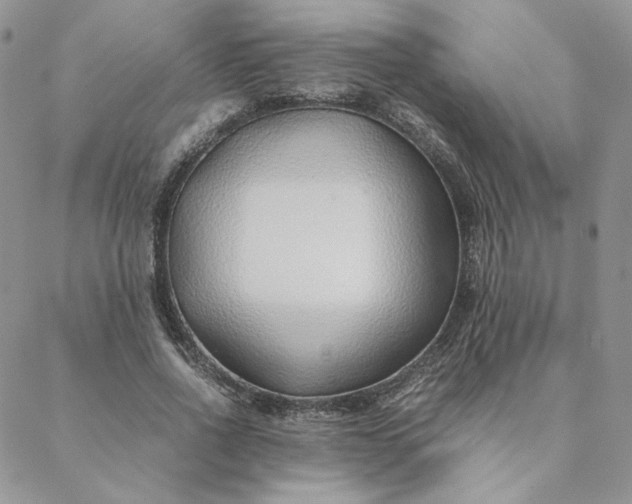 X0000088620734200706081521