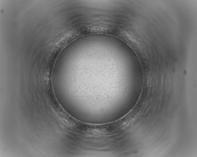 X0000088620737200706081521