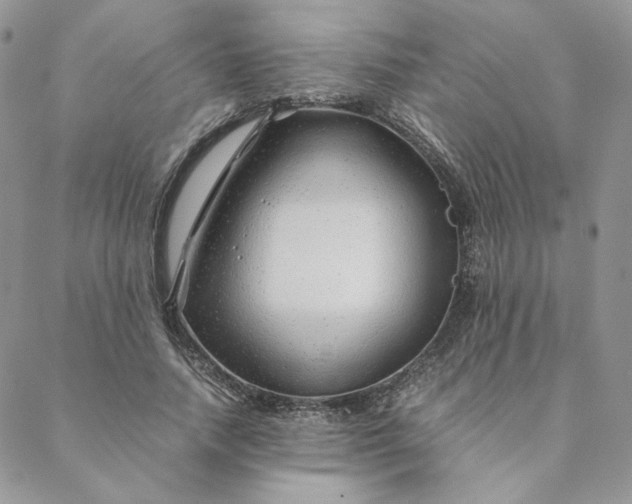 X0000088620738200706081521