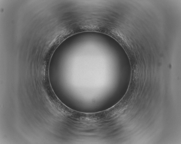 X0000088620739200706081521