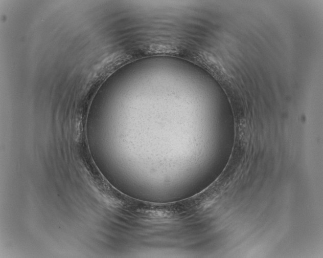 X0000088620741200706081521