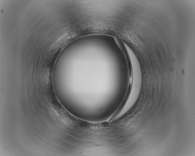 X0000088620744200706081521