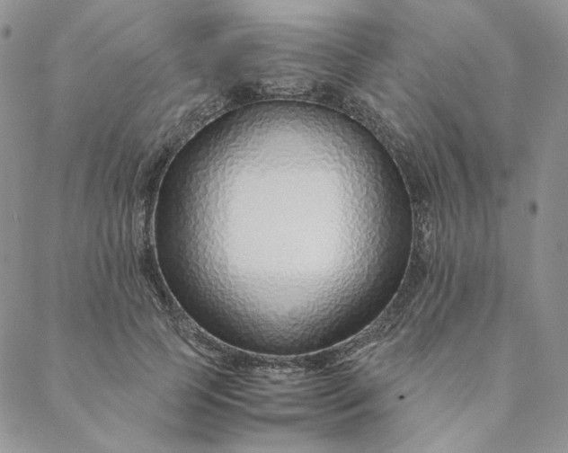 X0000088620745200706081521