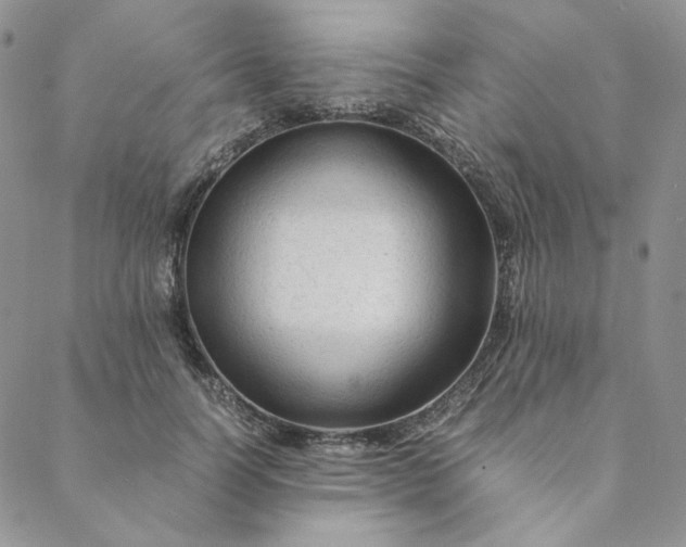 X0000088620746200706081521
