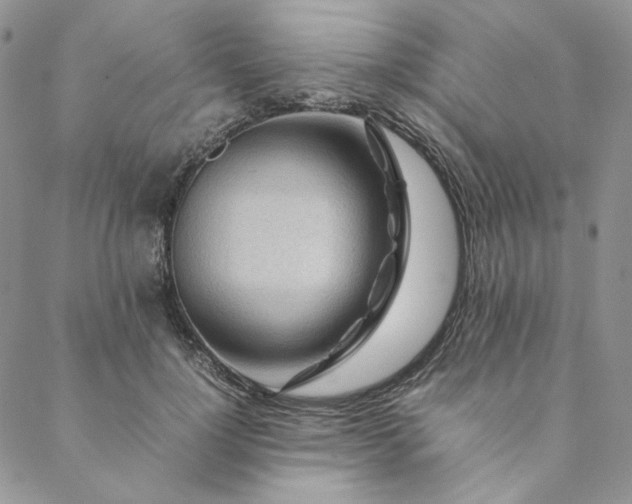 X0000088620748200706081521