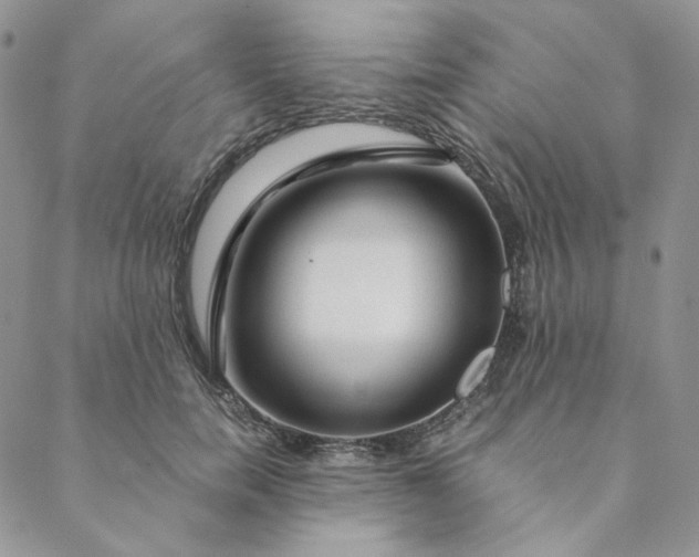 X0000088620750200706081521