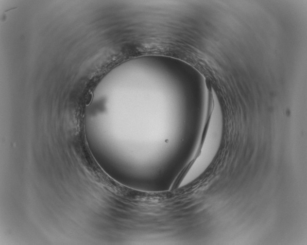X0000088620751200706081521