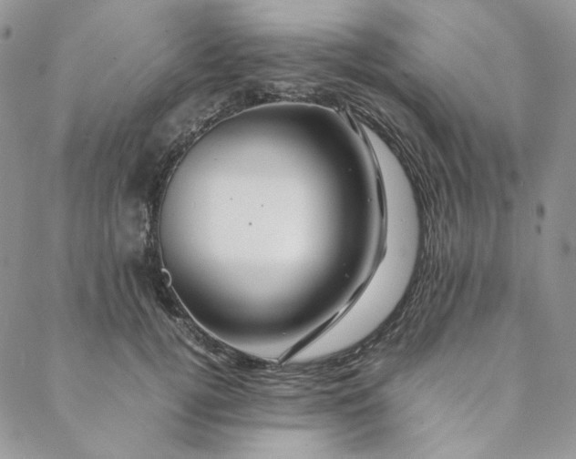 X0000088620752200706081521