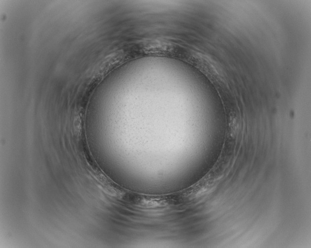 X0000088620753200706081521
