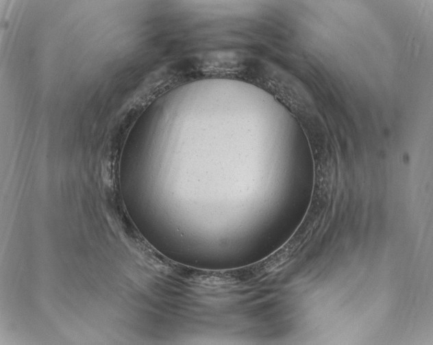 X0000088620755200706081521