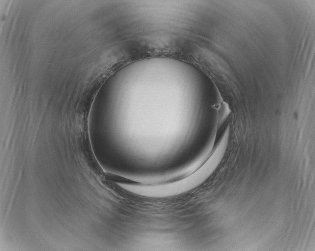 X0000088620756200706081521