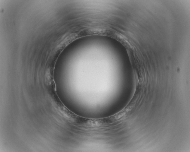 X0000088620764200706081522
