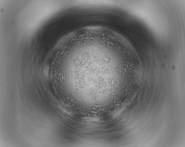 X0000088620765200706081522