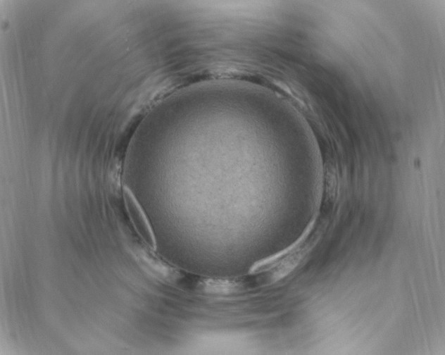 X0000088620766200706081522