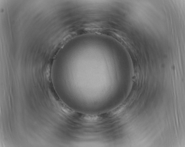 X0000088620767200706081522