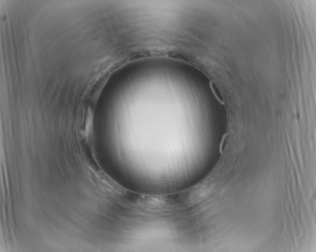 X0000088620768200706081522
