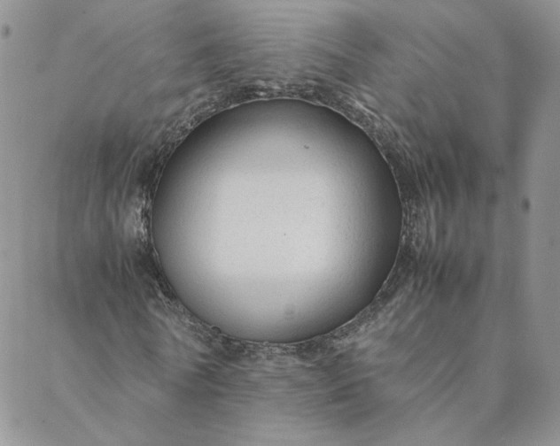 X0000088620770200706081521
