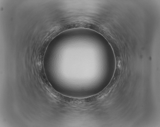 X0000088620771200706081521