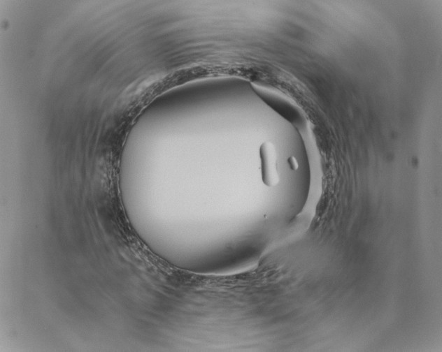 X0000088620773200706081520
