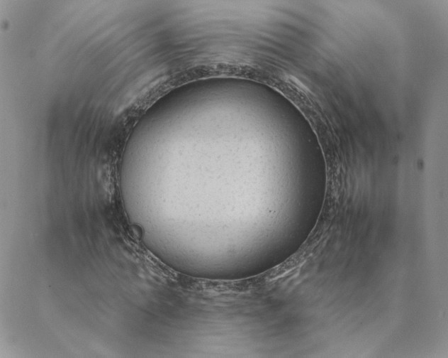 X0000088620774200706081520