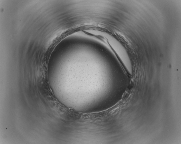 X0000088620776200706081520