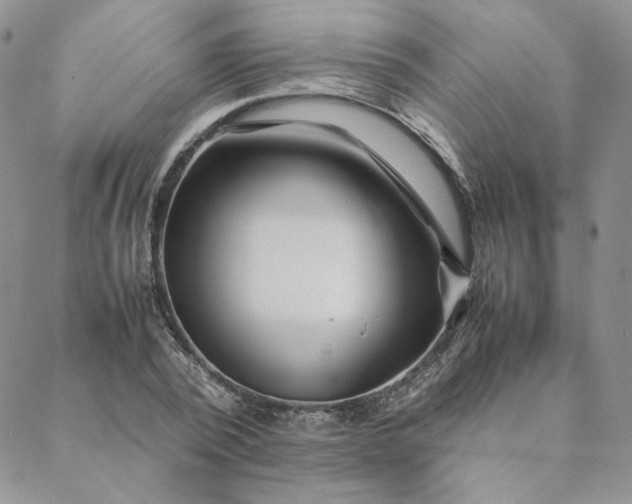 X0000088620784200706081520