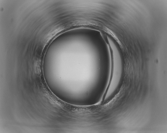 X0000088620786200706081520