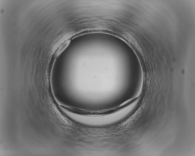 X0000088620789200706081520