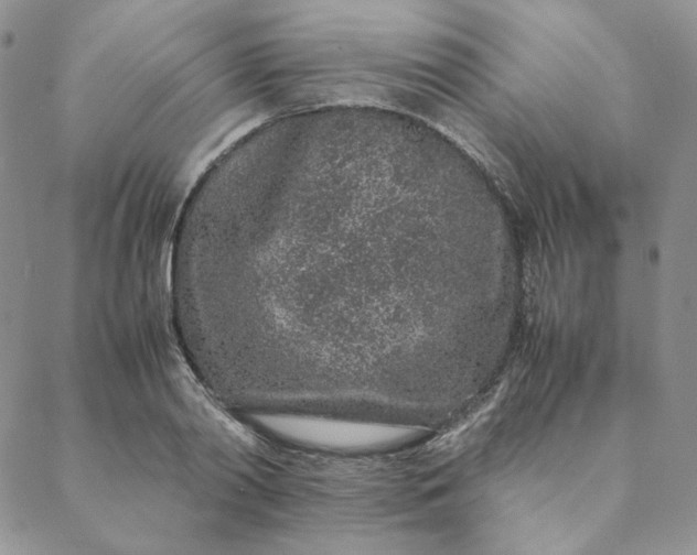 X0000088620790200706081520