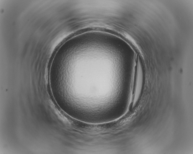 X0000088620791200706081520